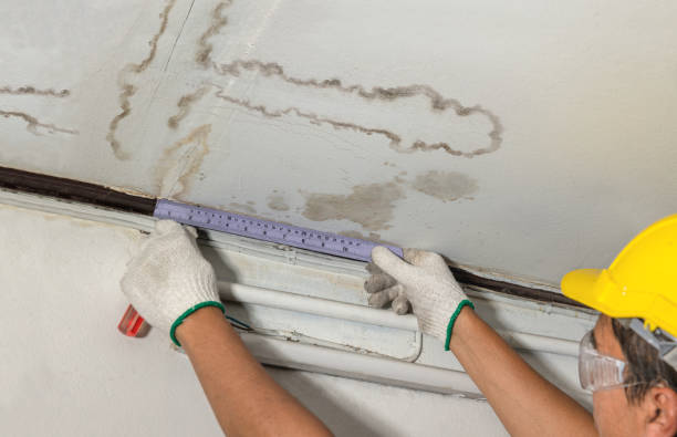 Reliable Water Damage Repair contractor in Irene, SD by Hirex Water Damage